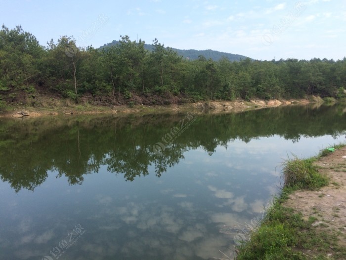 季末。花已残